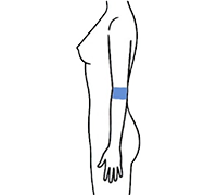 ひじのみ