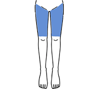Vラインからひざまで全周（ひざ上）
