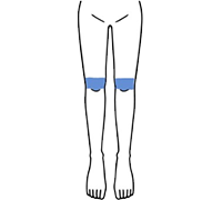 ひざのみ